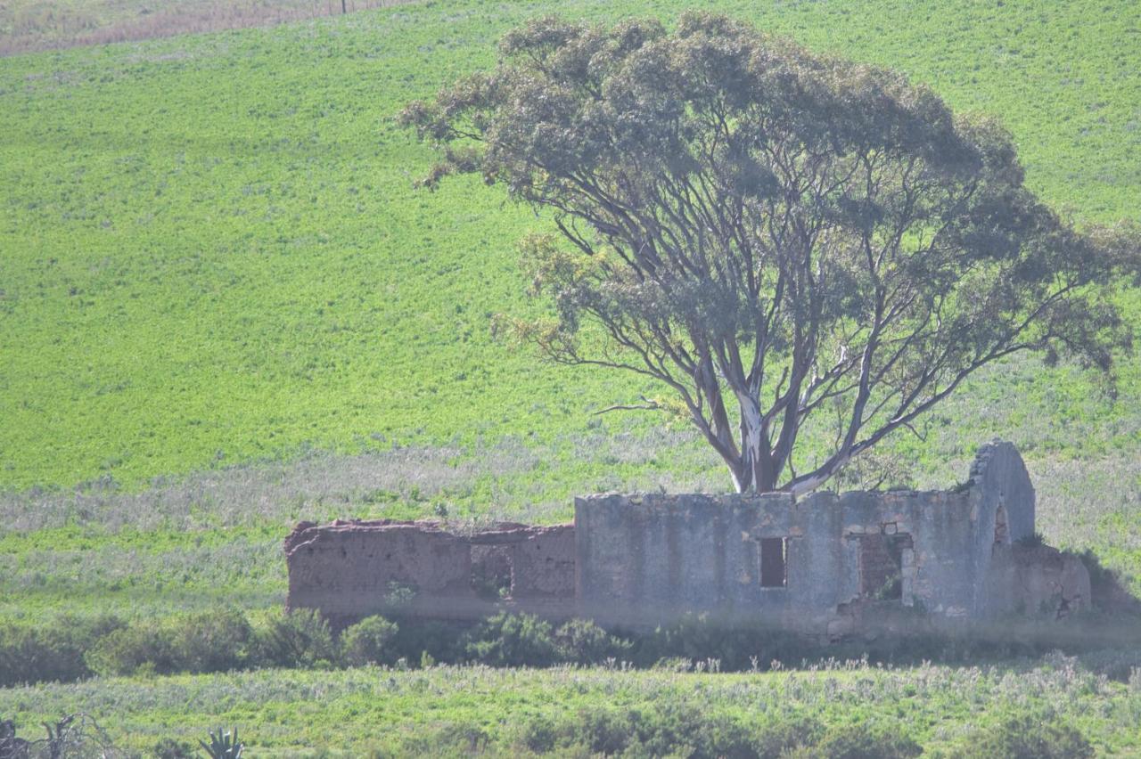 Old Sam's Farm stay Bredasdorp