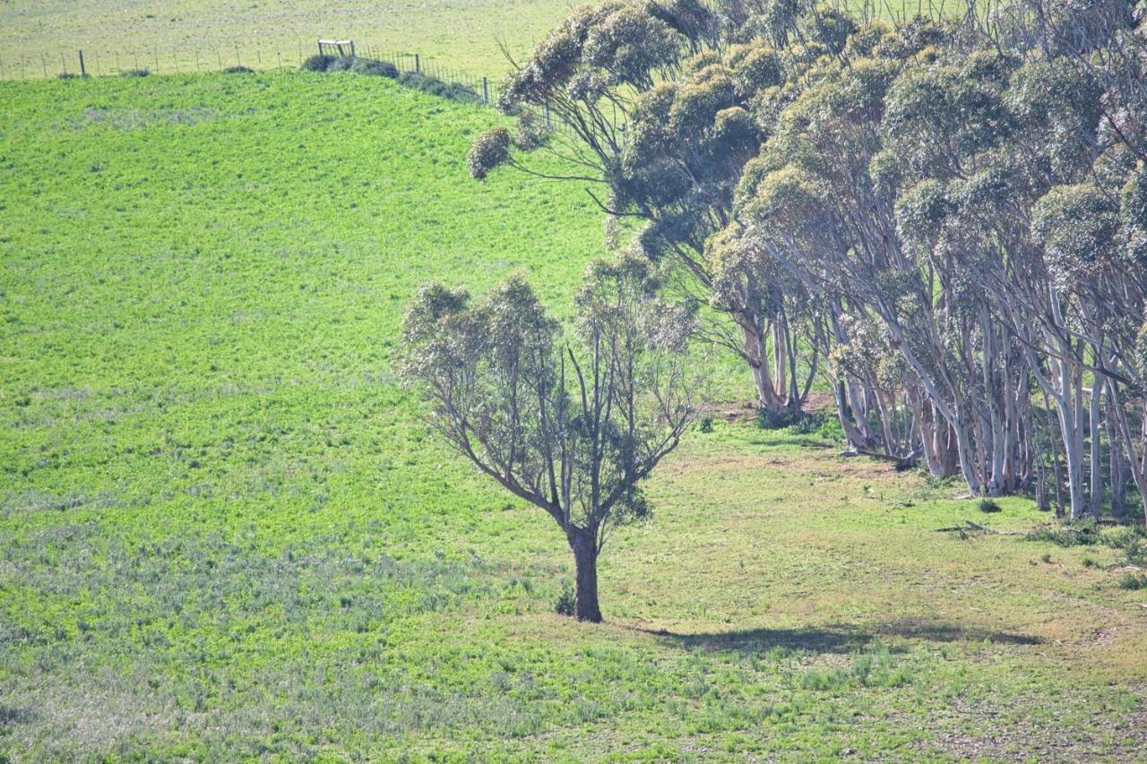 Old Sam's Farm stay