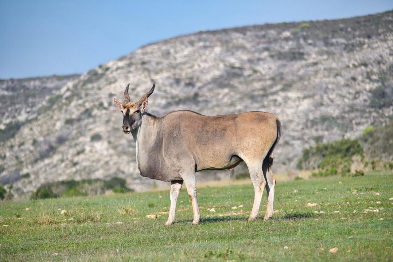 Old Sam's Farm stay Bredasdorp